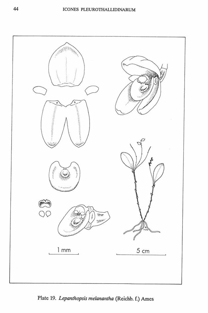 no HD illustration available (3)