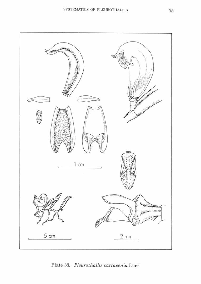 no HD illustration available (3)