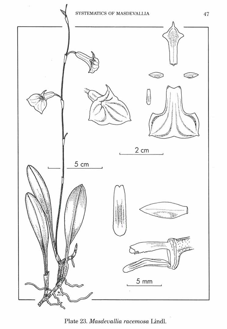 no HD illustration available (3)