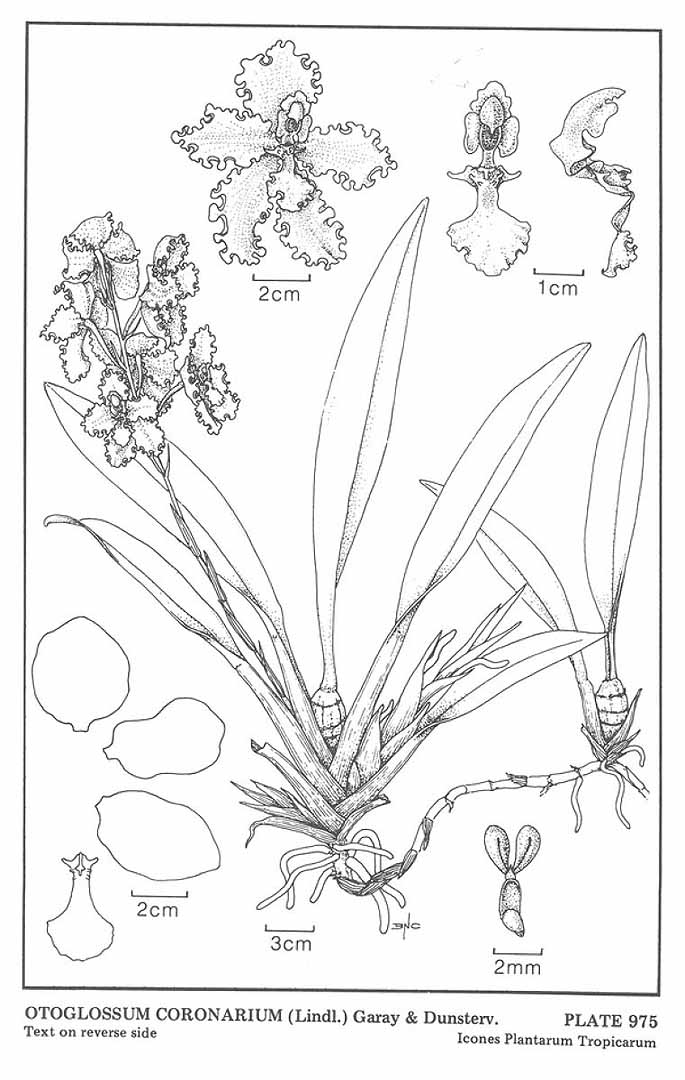 no HD illustration available (3)