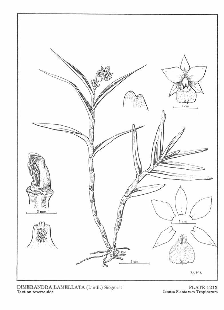 no HD illustration available (3)