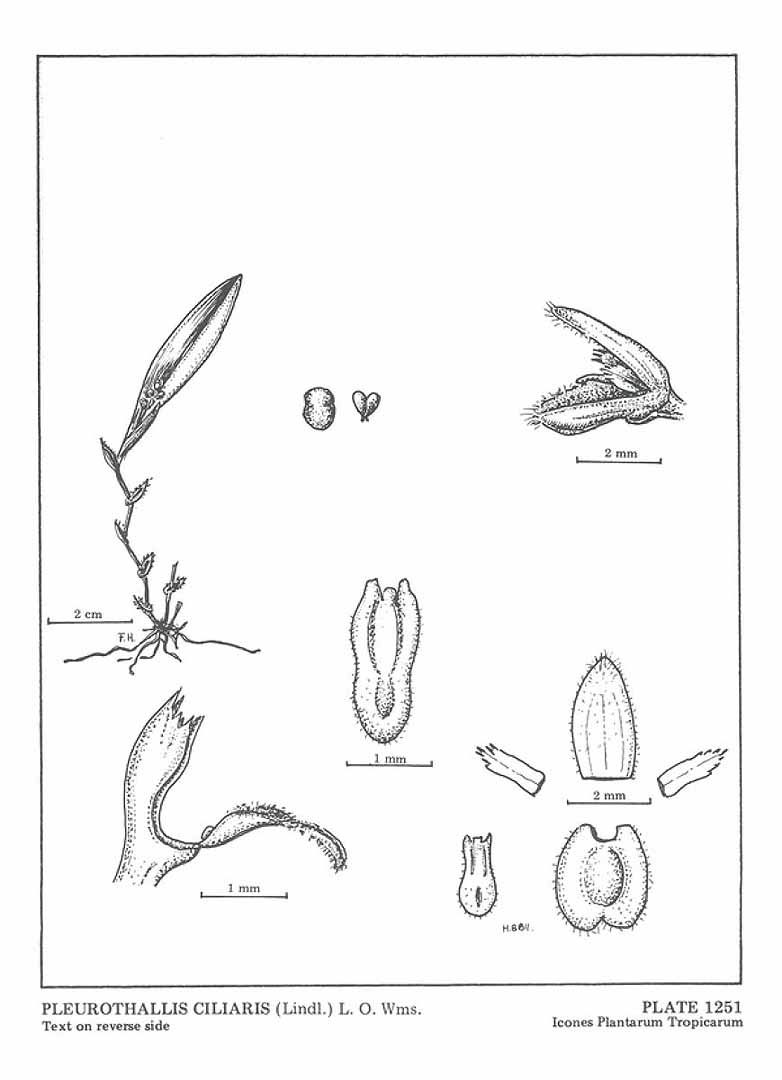 no HD illustration available (3)
