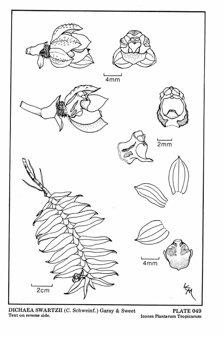 no HD illustration available (3)