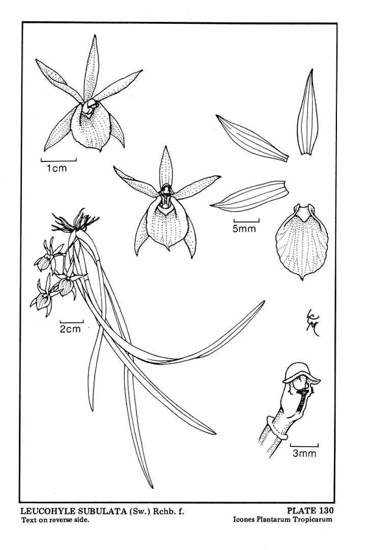 no HD illustration available (3)
