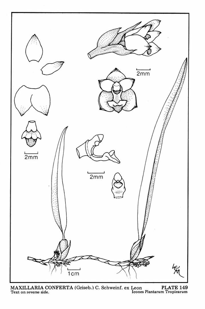 no HD illustration available (3)