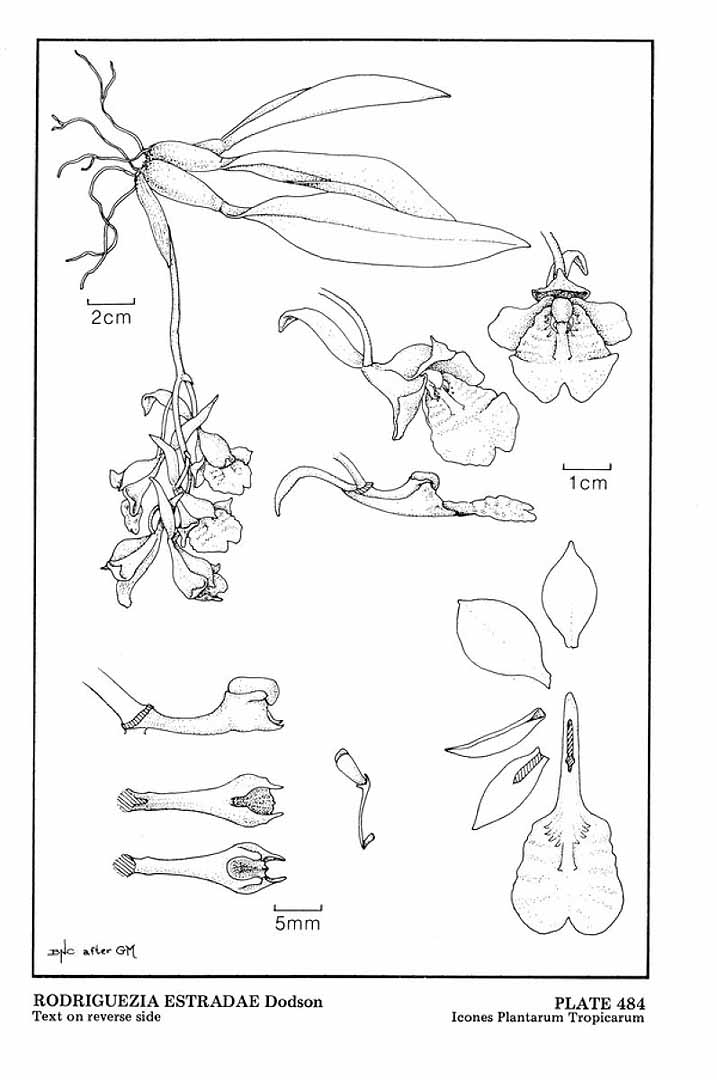 no HD illustration available (3)