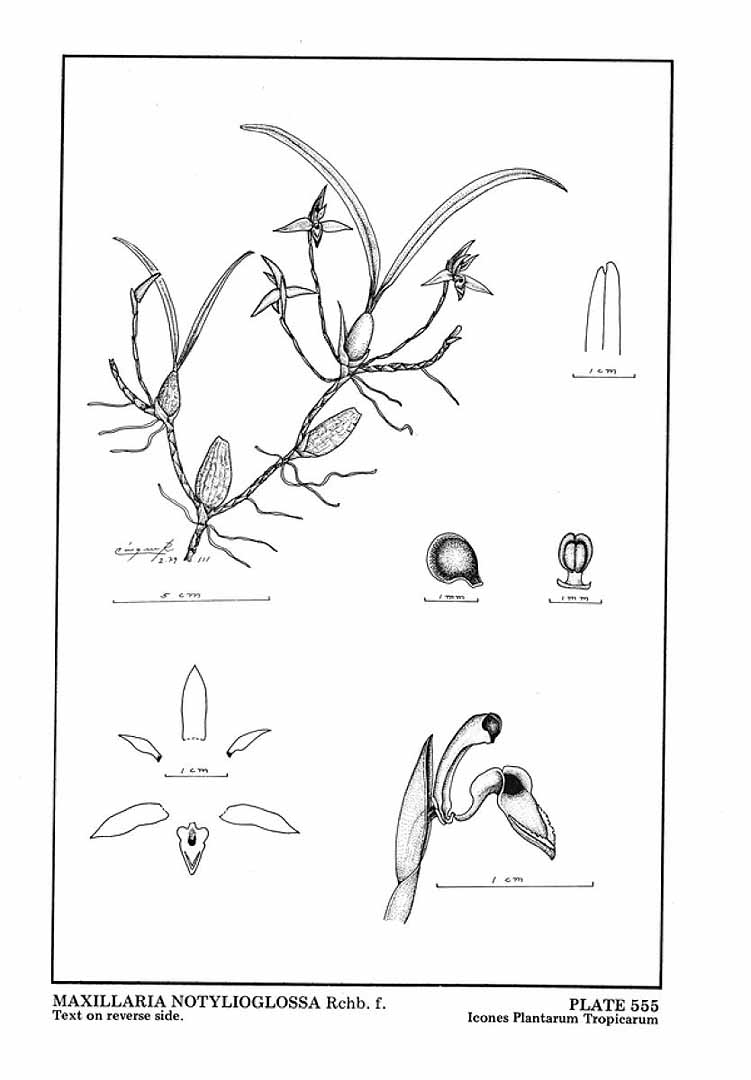 no HD illustration available (3)