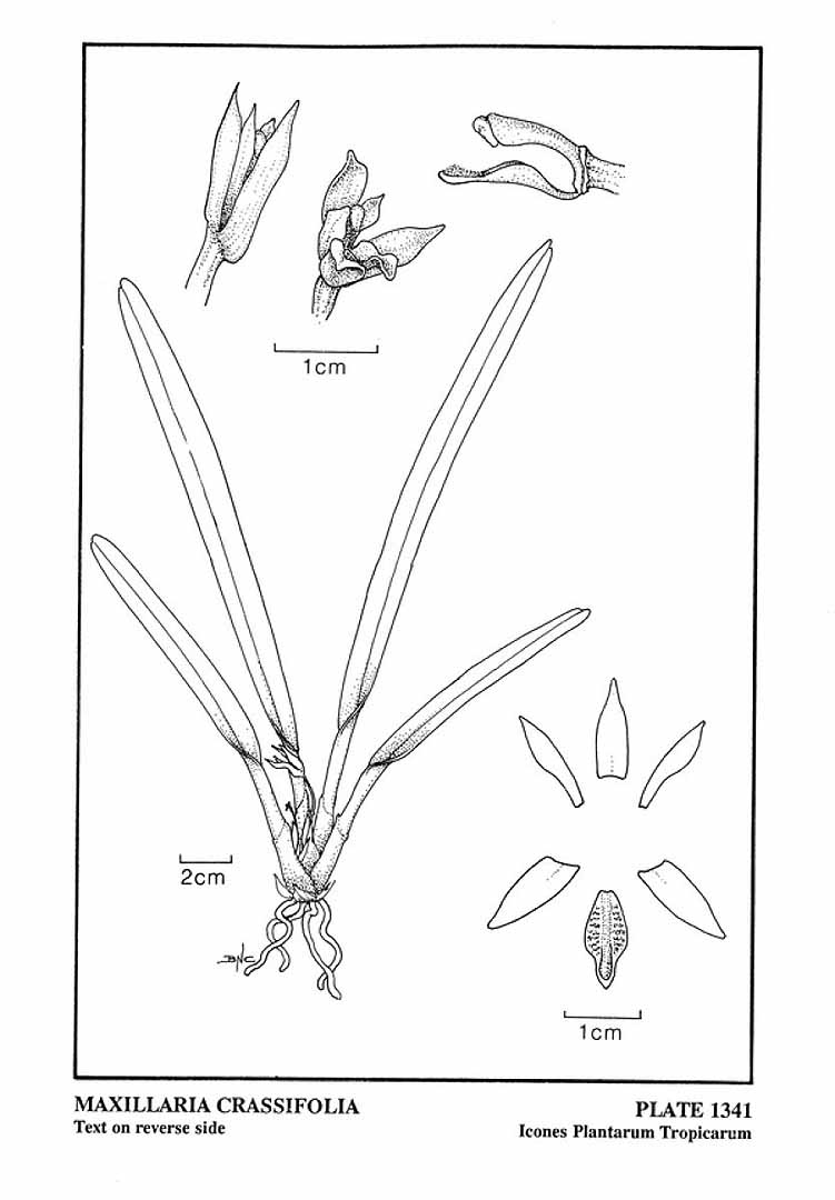 no HD illustration available (3)
