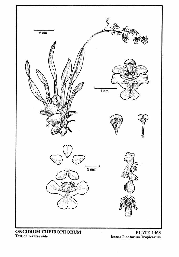 no HD illustration available (3)