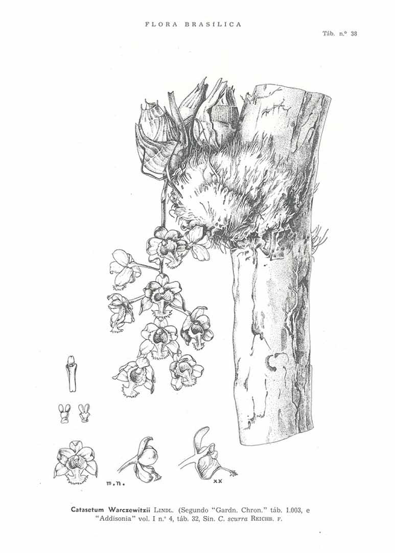 no HD illustration available (3)