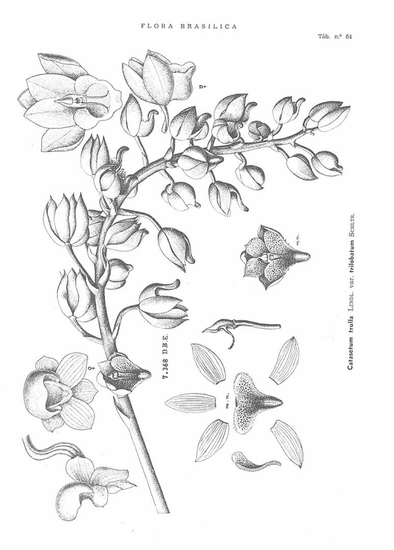 no HD illustration available (3)