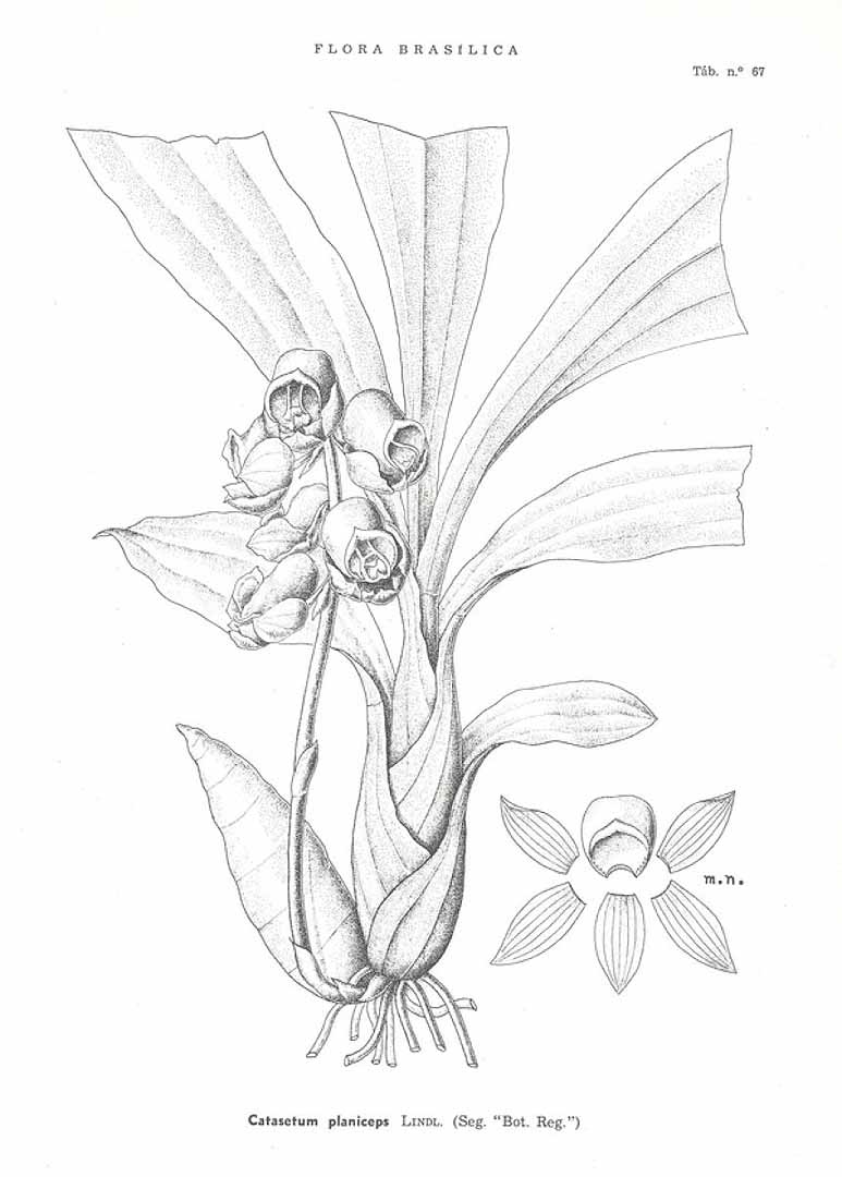 no HD illustration available (3)