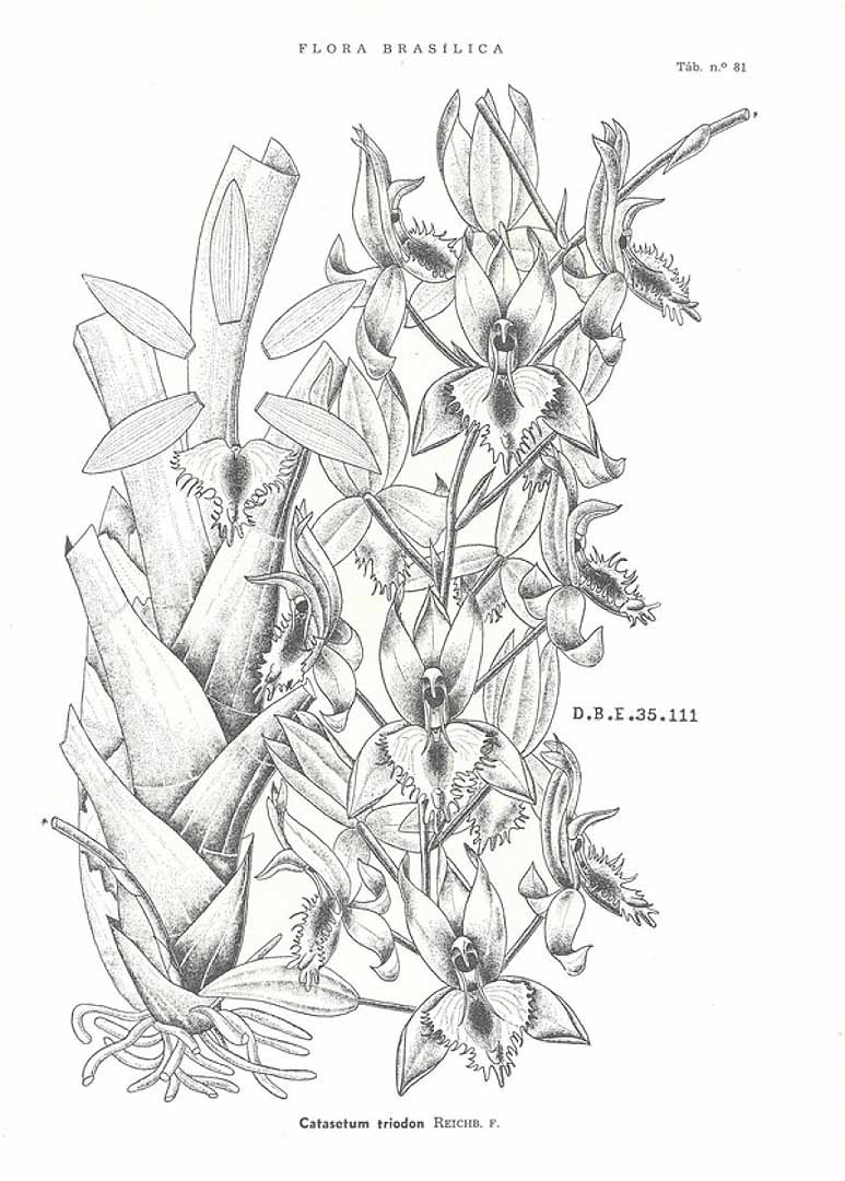 no HD illustration available (3)