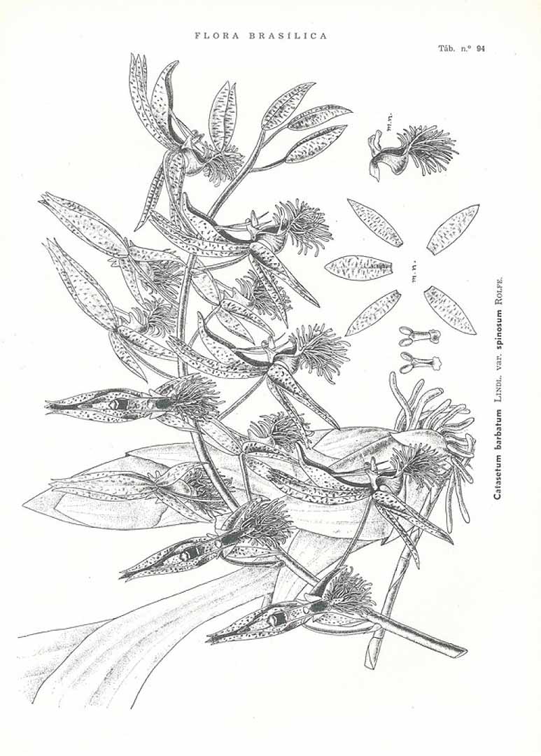 no HD illustration available (3)