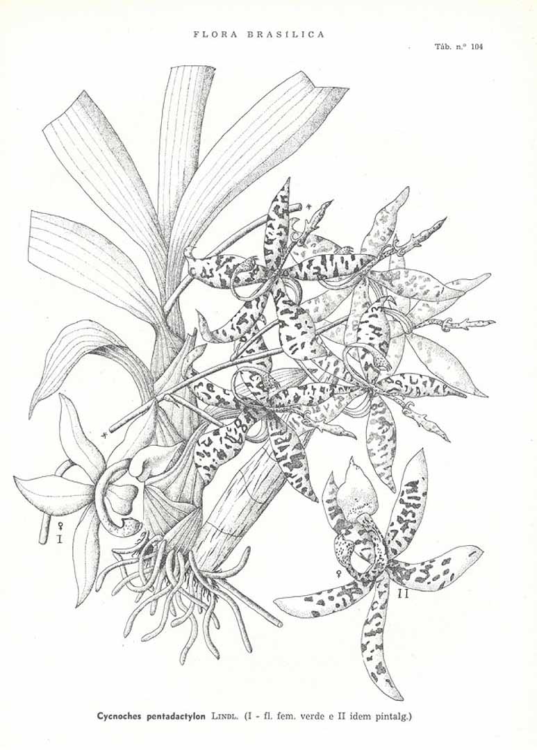 no HD illustration available (3)