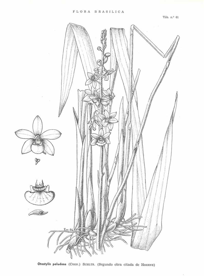 no HD illustration available (3)