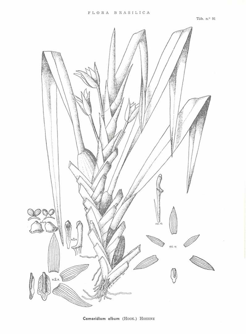 no HD illustration available (3)