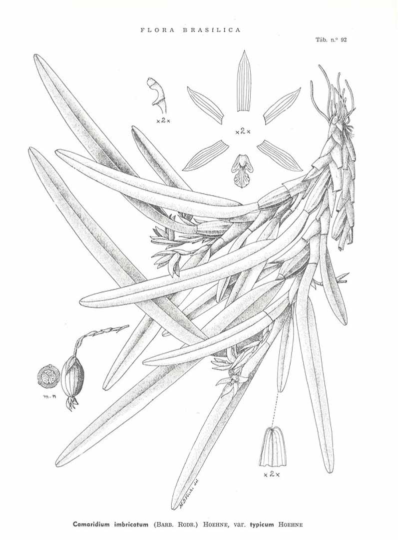 no HD illustration available (3)