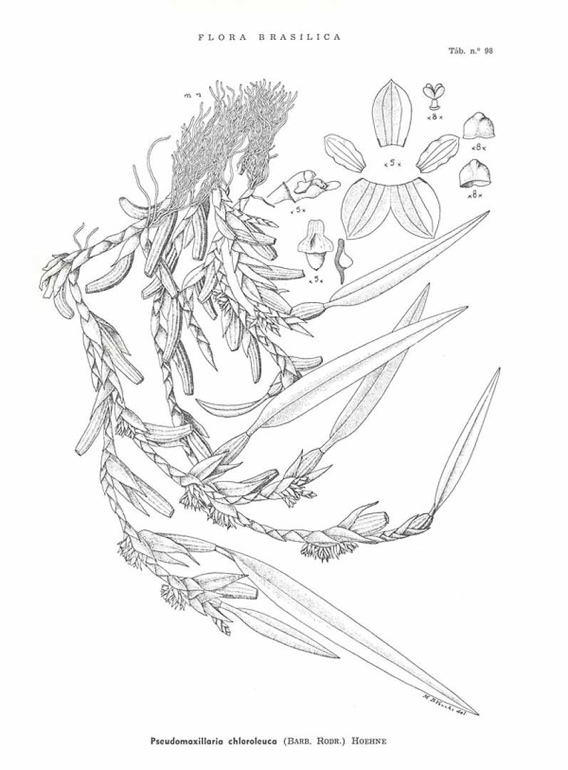 no HD illustration available (3)