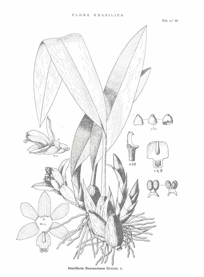 no HD illustration available (3)