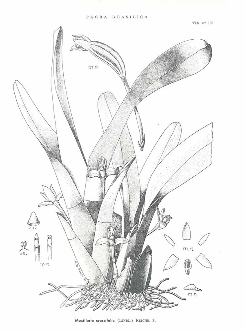 no HD illustration available (3)