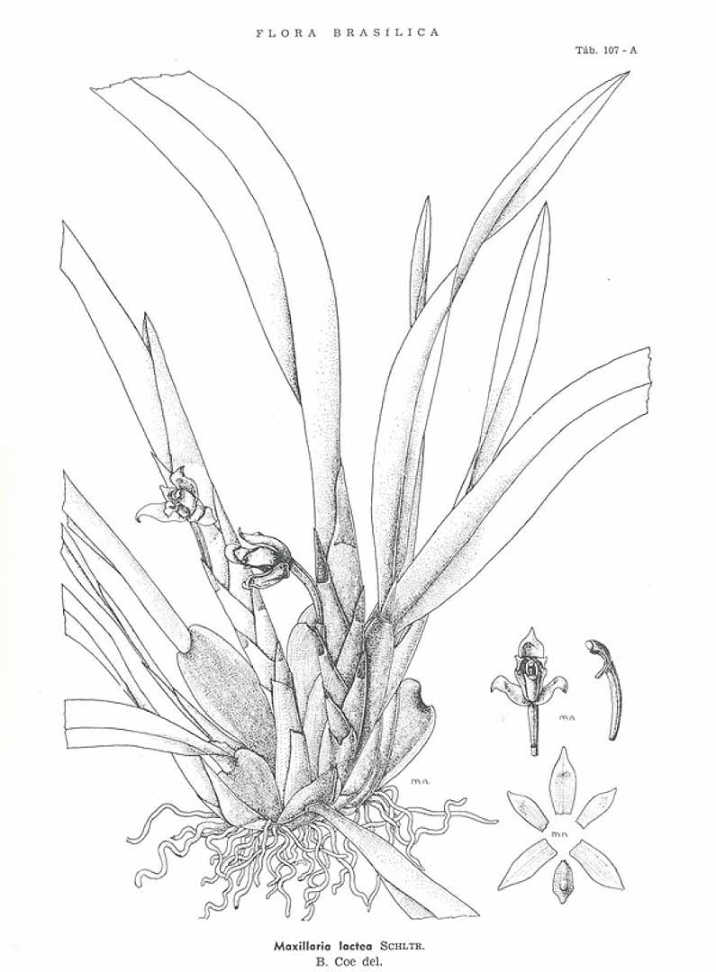 no HD illustration available (3)