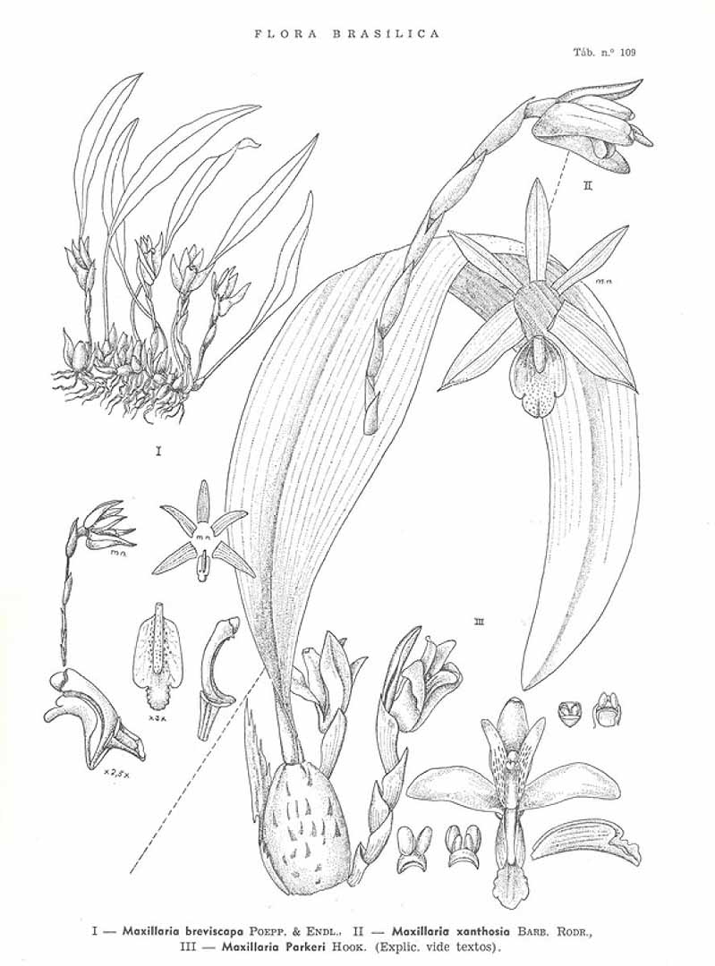 no HD illustration available (3)