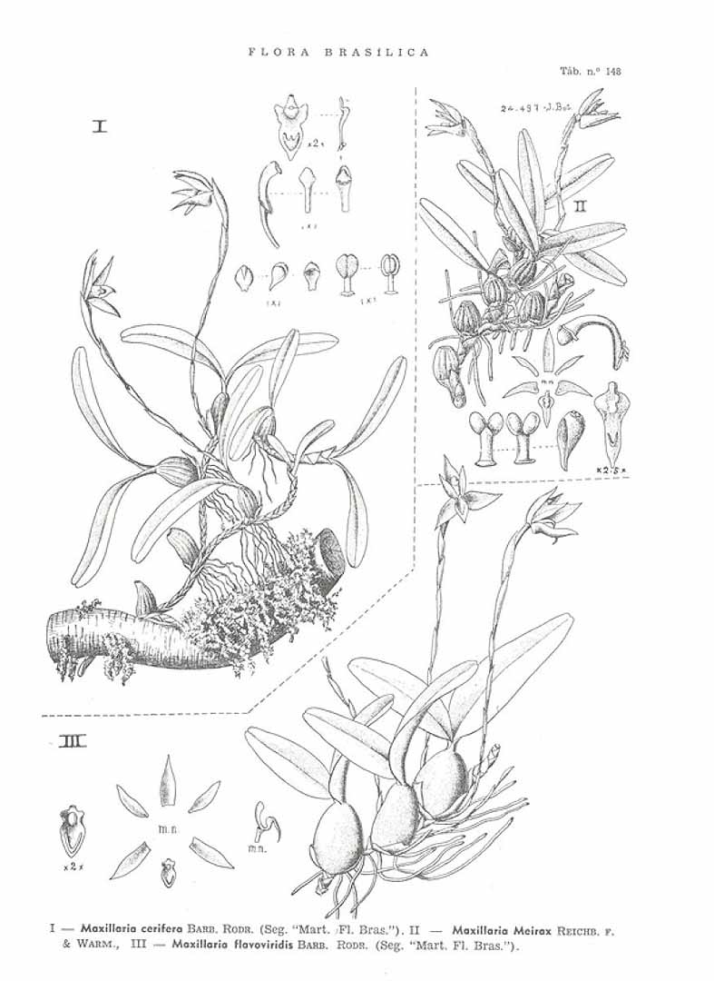no HD illustration available (3)