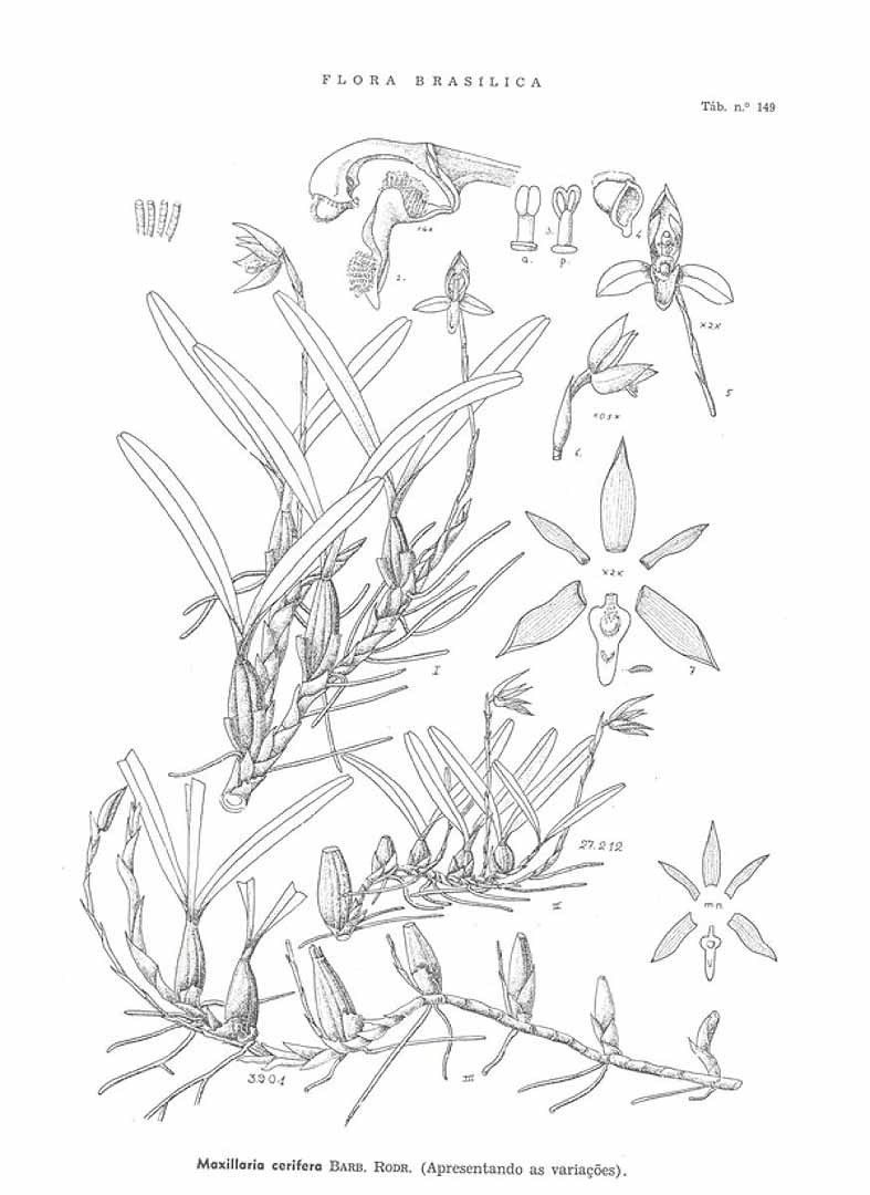 no HD illustration available (3)