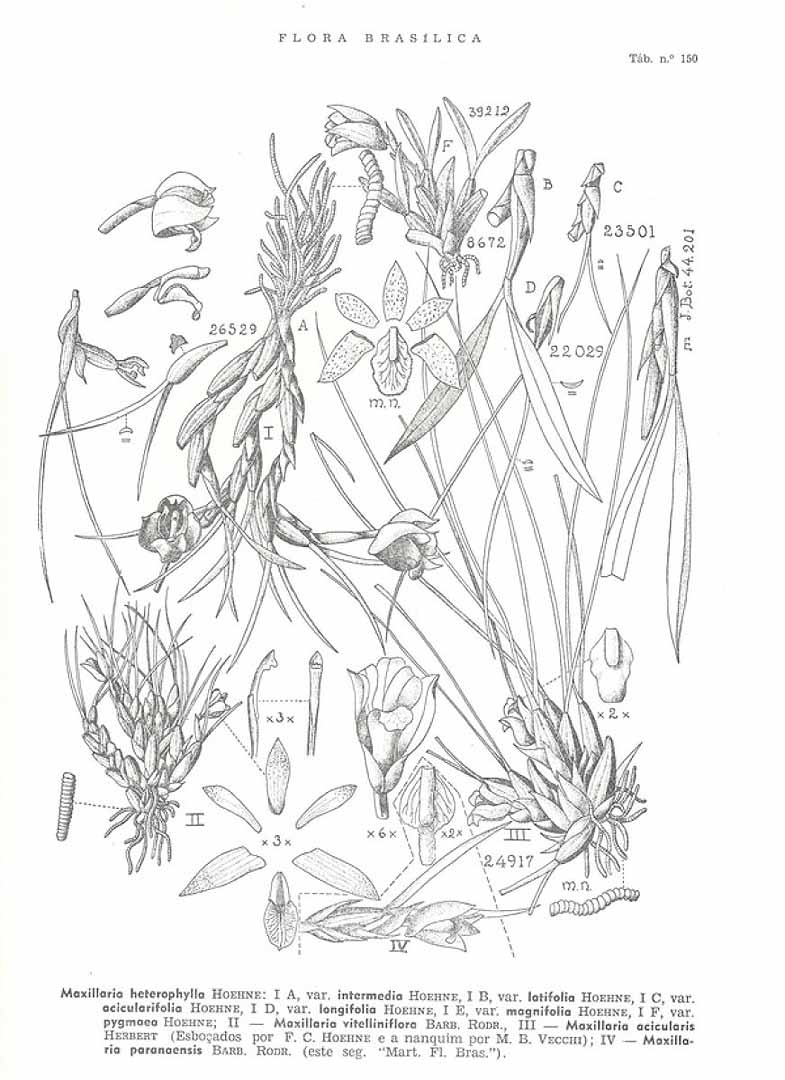 no HD illustration available (3)