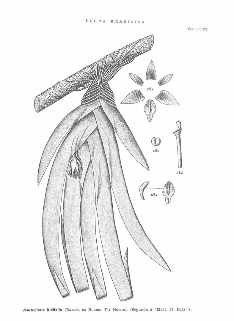 no HD illustration available (3)