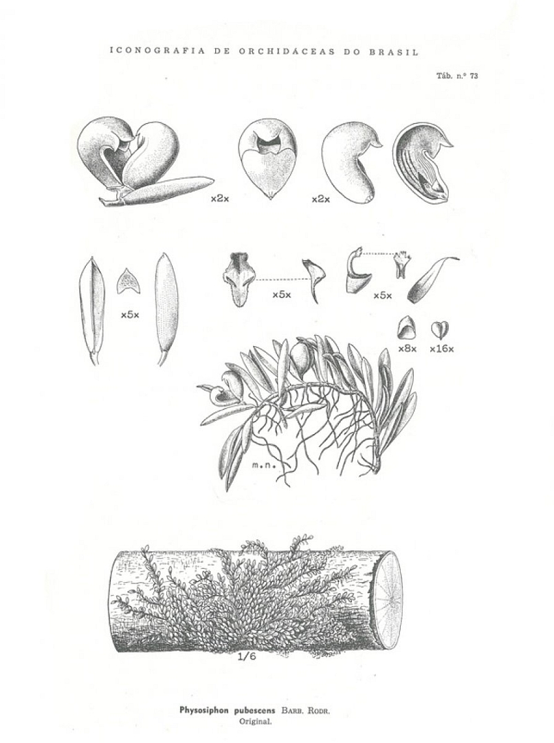no HD illustration available (3)