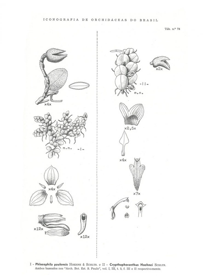 no HD illustration available (3)