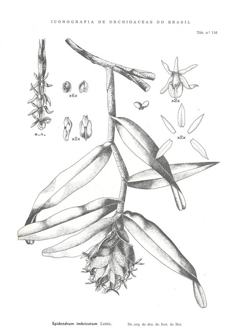 no HD illustration available (3)