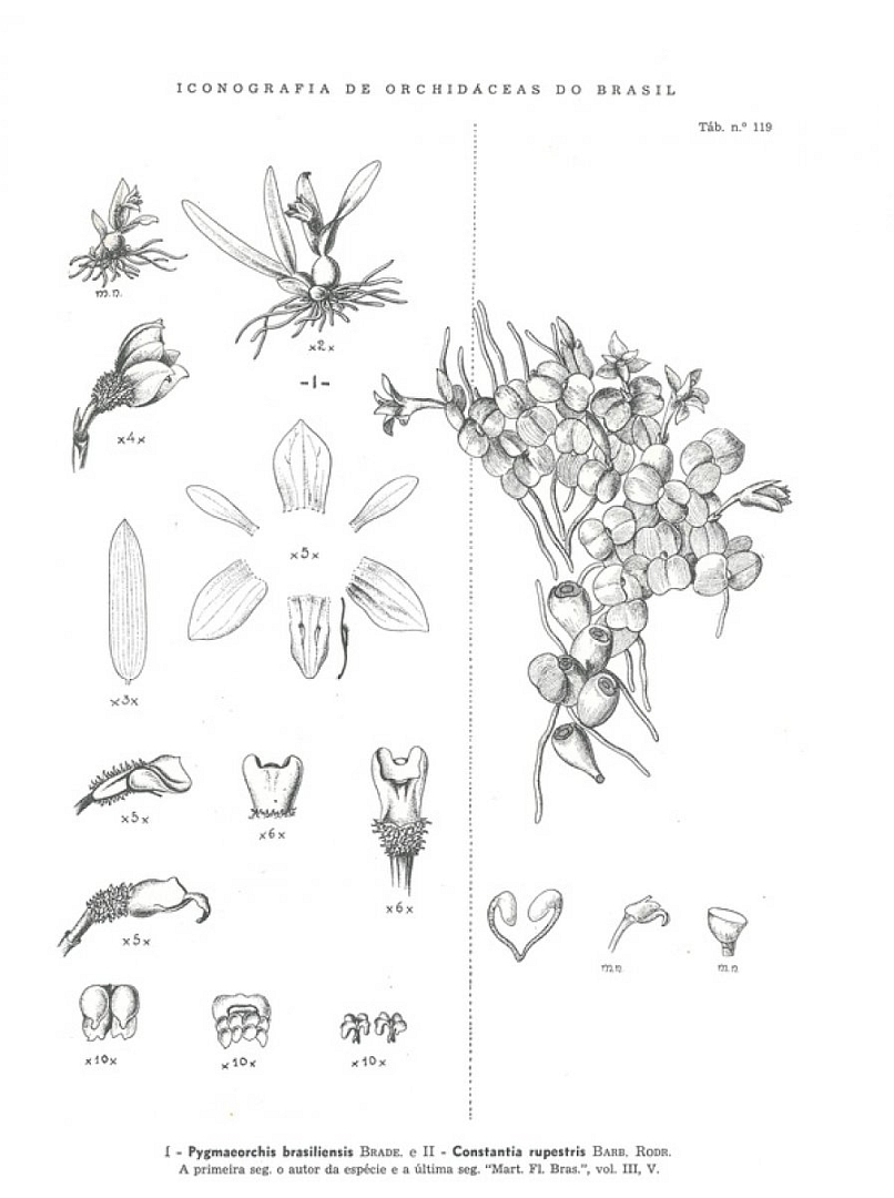 no HD illustration available (3)