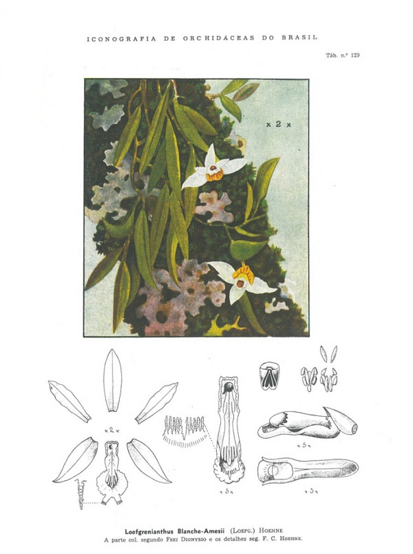 no HD illustration available (3)