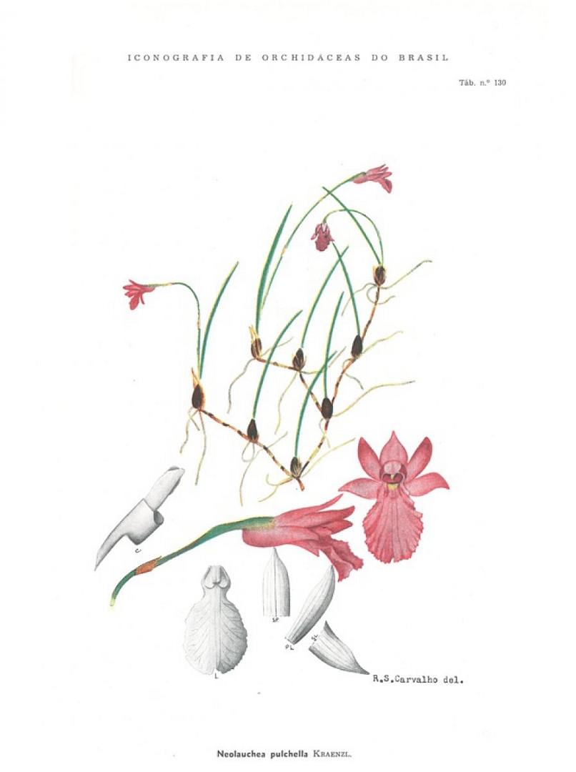 no HD illustration available (3)