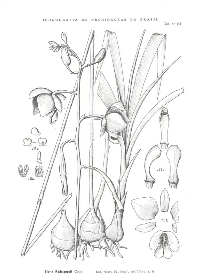 no HD illustration available (3)