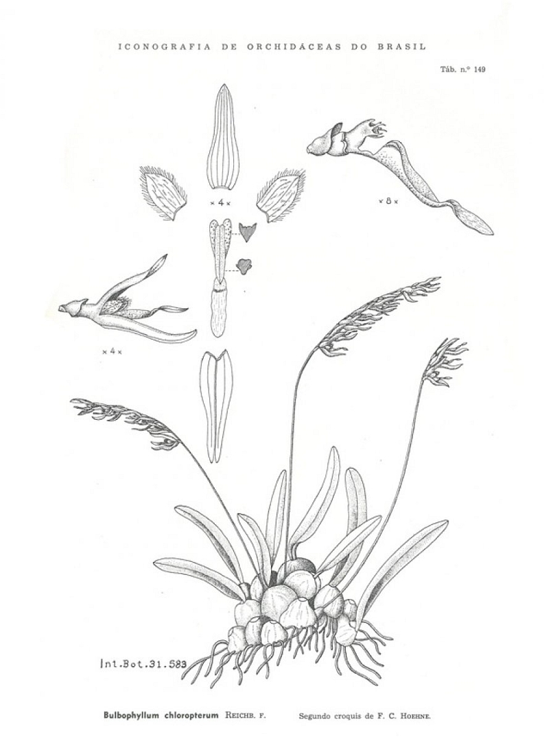 no HD illustration available (3)