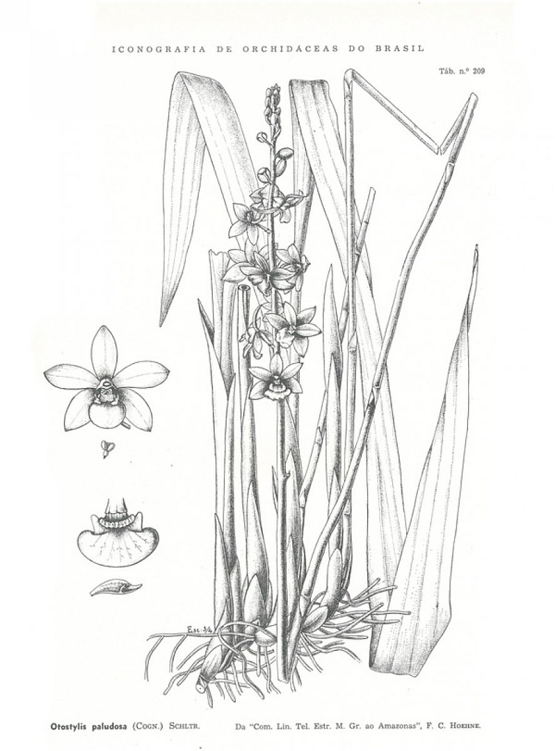 no HD illustration available (3)