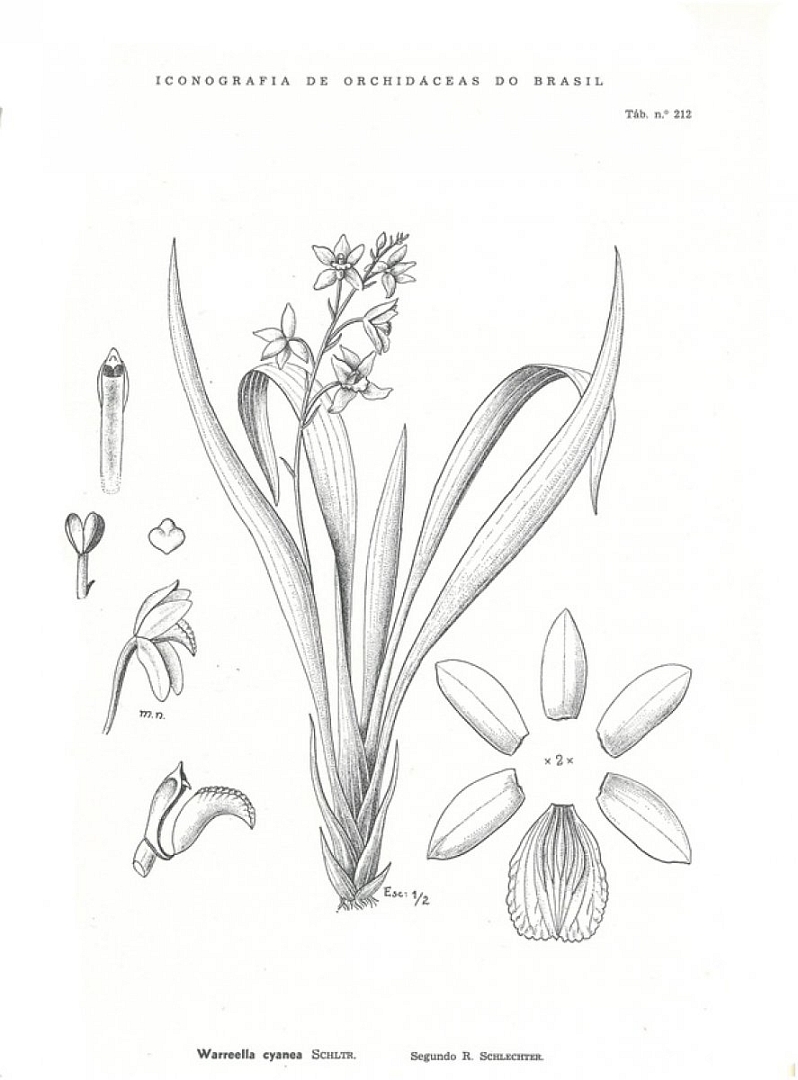 no HD illustration available (3)