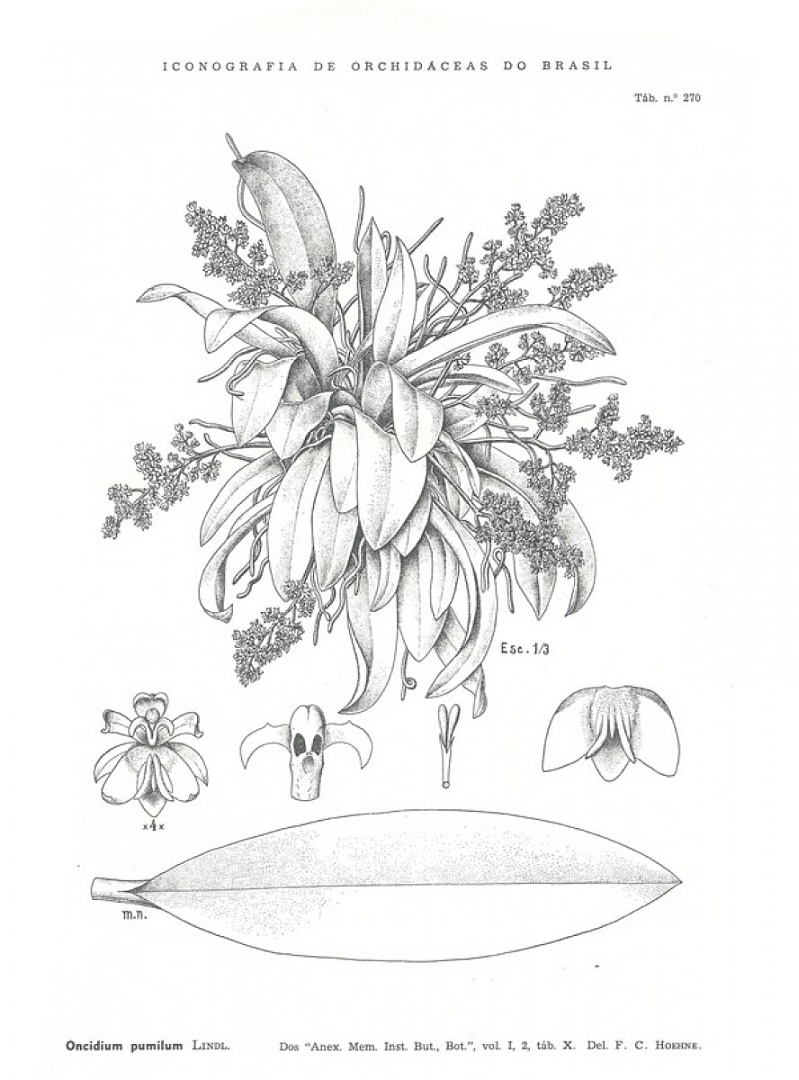 no HD illustration available (3)