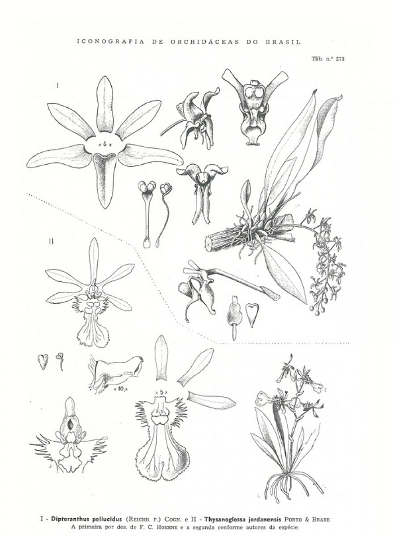no HD illustration available (3)