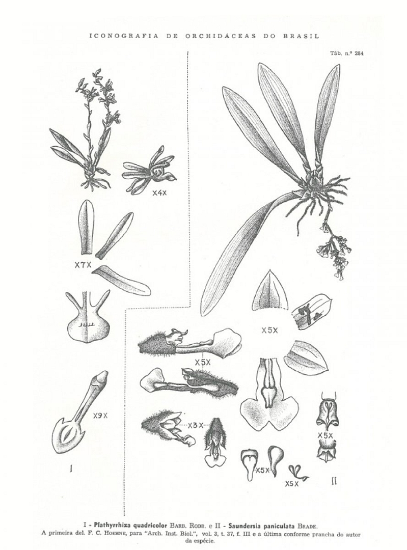 no HD illustration available (3)