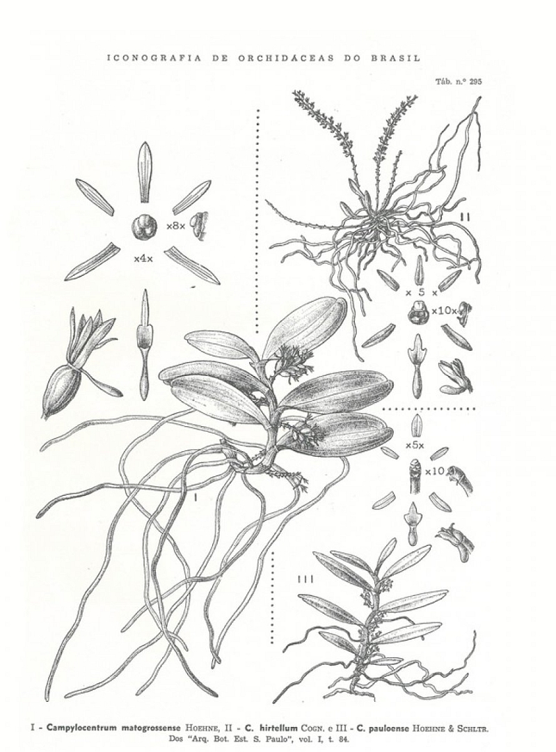 no HD illustration available (3)