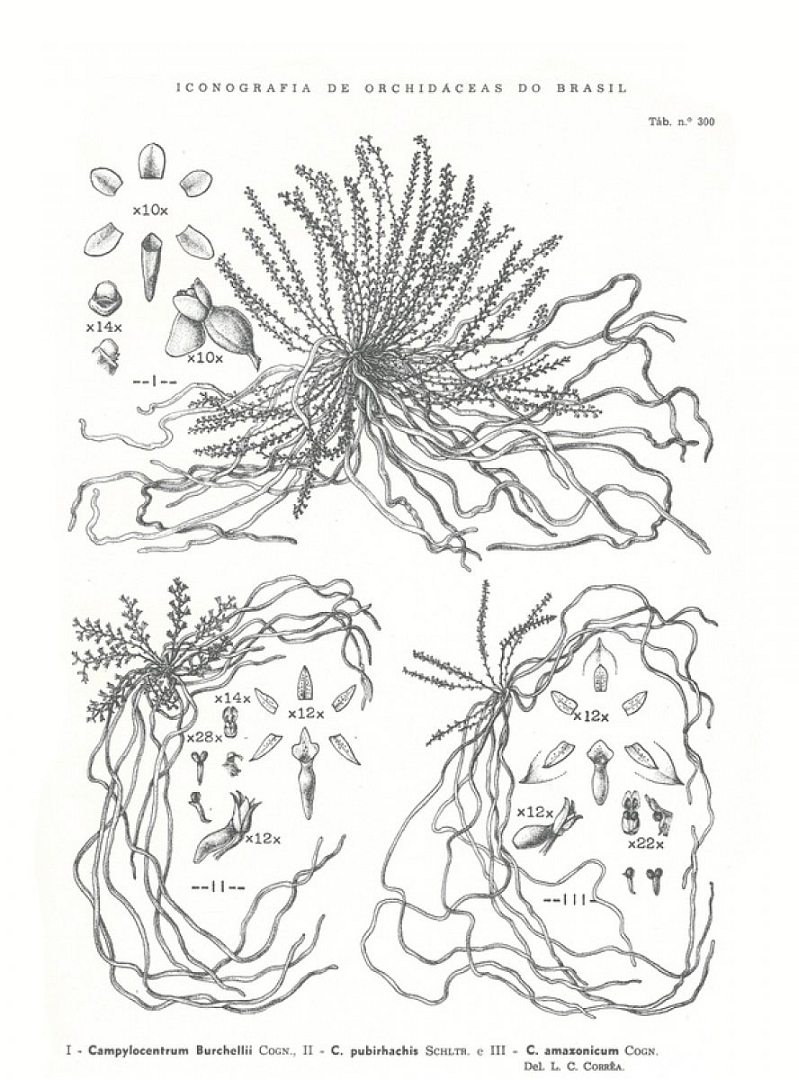 no HD illustration available (3)