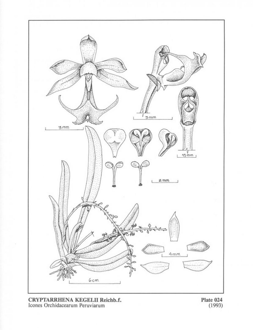 no HD illustration available (3)