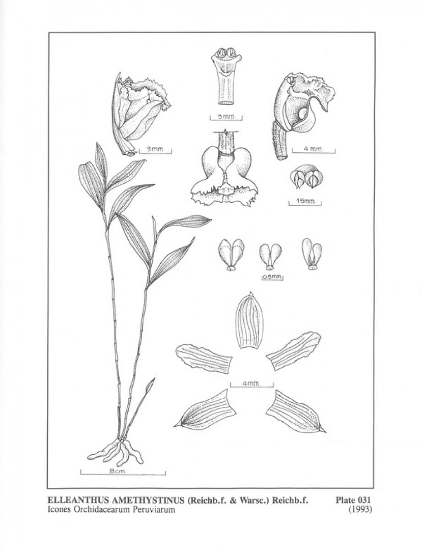 no HD illustration available (3)