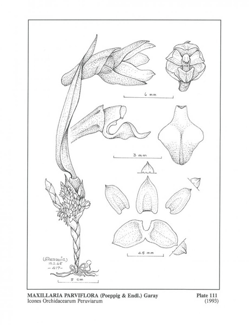 no HD illustration available (3)