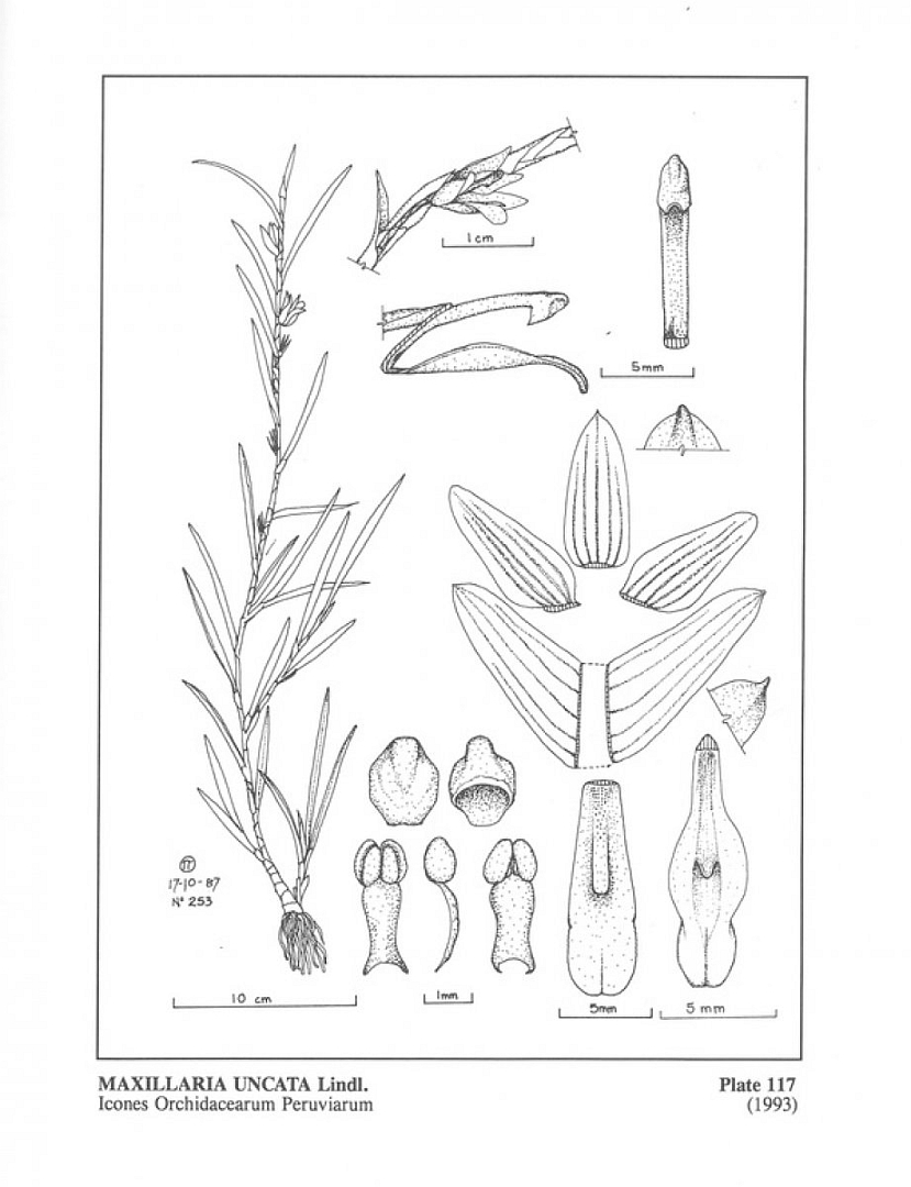 no HD illustration available (3)